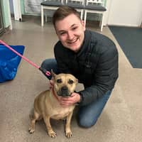 Sitter Profile Image: Justin M.