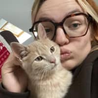 Photo de profil du pet sitter : Lucie T.