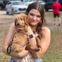 Sitter Profile Image: Neveah H.