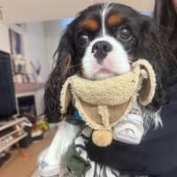 Sitter Profile Image: Ella X.