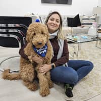 Sitter Profile Image: Hark K.