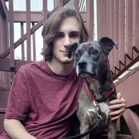 Sitter Profile Image: Halligan L.
