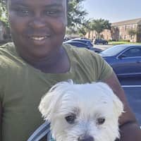 Sitter Profile Image: Labern R.