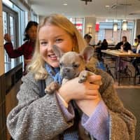 Sitter Profile Image: Hattie P.