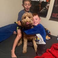 Sitter Profile Image: Sylicia B.