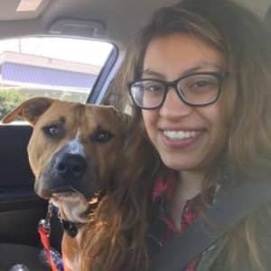 Best Doggy Day Care In Silver Spring Md Rover Com