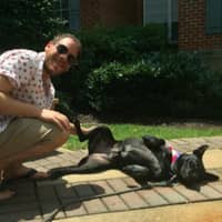 Sitter Profile Image: Alex A.