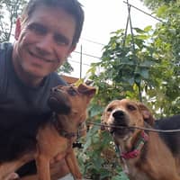 Sitter Profile Image: Derek B.