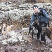 Sitter Profile Image: Chris K.