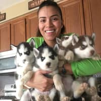 Sitter Profile Image: Mari M.