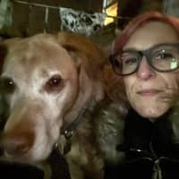 Sitter Profile Image: lesley b.