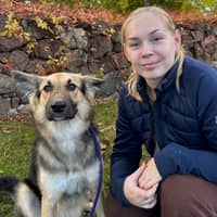 Passarens profilbild: Wilma K.