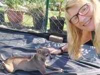 Sitterprofilbild: Nelli S.