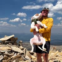 Sitter Profile Image: Alex M.