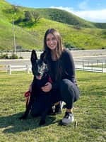 Sitter Profile Image: Lauren T.