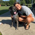 Sitter Profile Image: Elliot M.