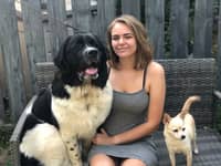 Sitter Profile Image: Kassandra P.