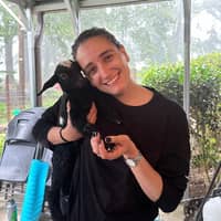 Sitter Profile Image: Arienna A.