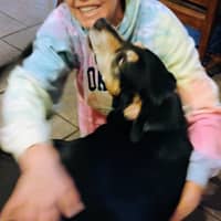 Sitter Profile Image: Tammy W.