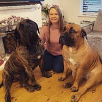 Sitter Profile Image: Katie S.