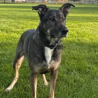 Sitter Profile Image: Caitlin R.