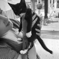 Sitter Profile Image: Hermione G.