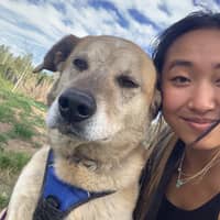 Sitter Profile Image: Emma H.