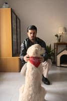 Immagine del profilo del sitter: Mehdi T.