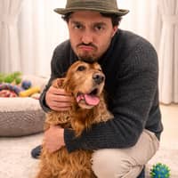 Immagine del profilo del sitter: Mehdi T.