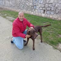 Foto de perfil del cuidador: Jairo G.