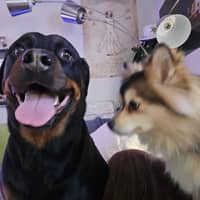 Sitter Profile Image: Robert C.