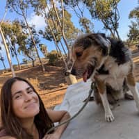 Sitter Profile Image: Drew D.