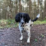 Sitter Profile Image: Pam C.