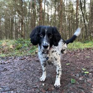 Sitter Profile Image: Pam C.