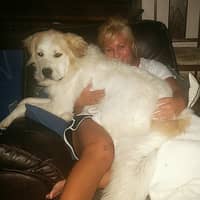 Sitter Profile Image: Heather S.