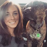 Sitter Profile Image: Addison D.