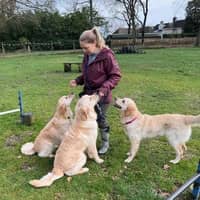 Sitter Profile Image: Kelli F.