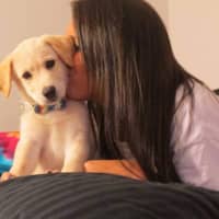 Sitter Profile Image: Kirsten P.