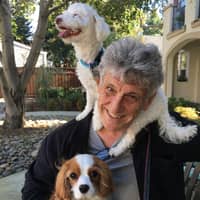 Sitter Profile Image: Andrew G.