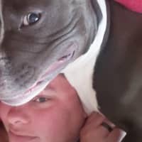 Sitter Profile Image: Cindy M.