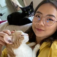 Sitter Profile Image: Iris C.