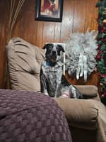 Sitter Profile Image: Monique F.