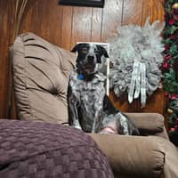 Sitter Profile Image: Monique F.