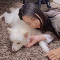 Sitter Profile Image: Jungmin H.