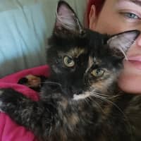 Sitter Profile Image: Aramie P.