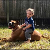 Sitter Profile Image: Patrick L.