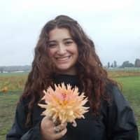 Sitter Profile Image: Avery A.