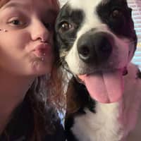 Sitter Profile Image: Sydney H.