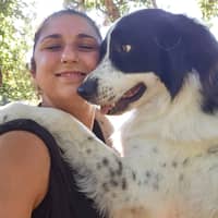 Sitter Profile Image: Radmila S.