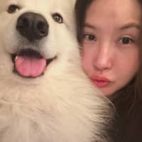 Sitter Profile Image: zhengjun h.